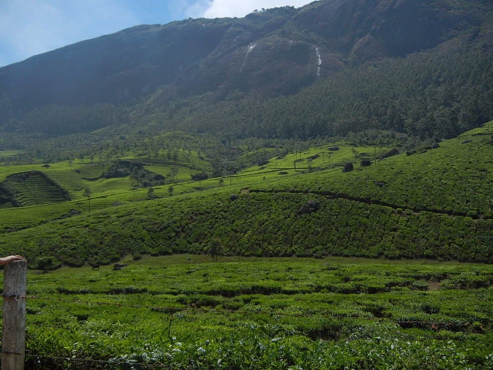 Lockhart Gap Viewpoint